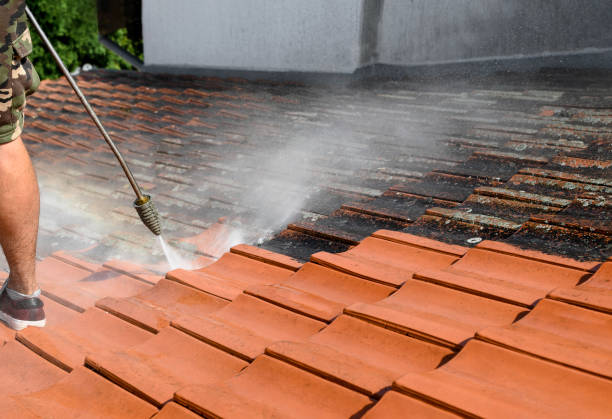 Best Local Pressure Washing Services  in Montrose, MI