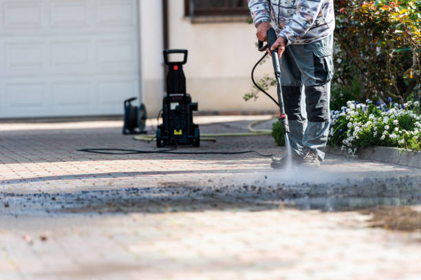 Best Deck Cleaning Services  in Montrose, MI