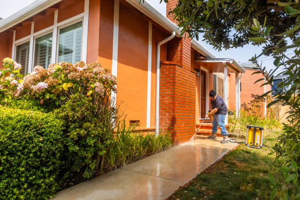 Best Roof Pressure Washing  in Montrose, MI