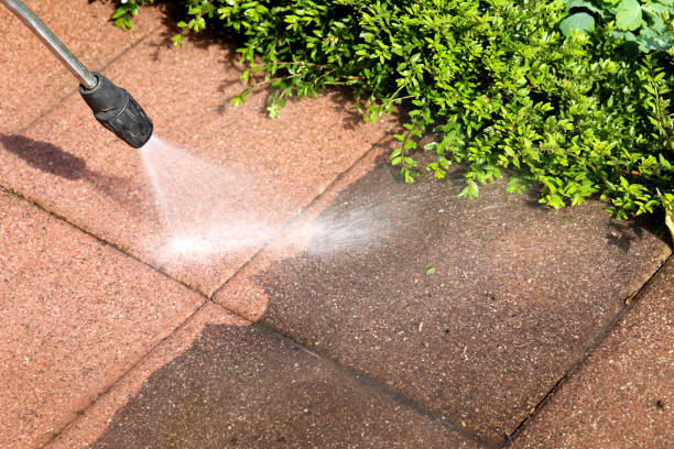 Best Roof Power Washing Services  in Montrose, MI